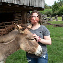 Load image into Gallery viewer, Handmade Non-Medical Face Masks