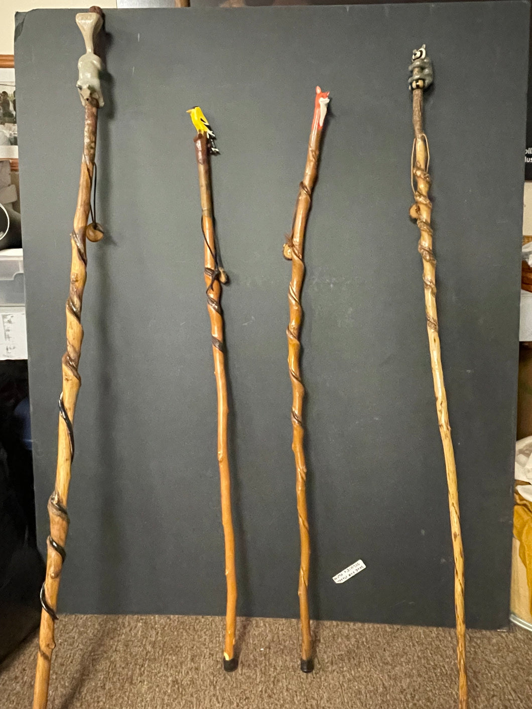 Walking Sticks