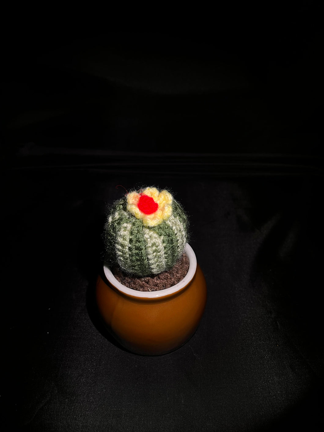 Crocheted Cactus