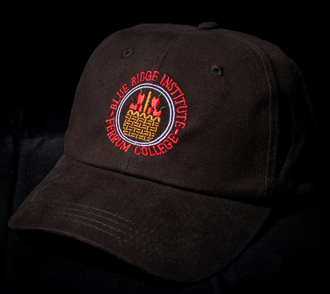 Blue Ridge Institute Hat